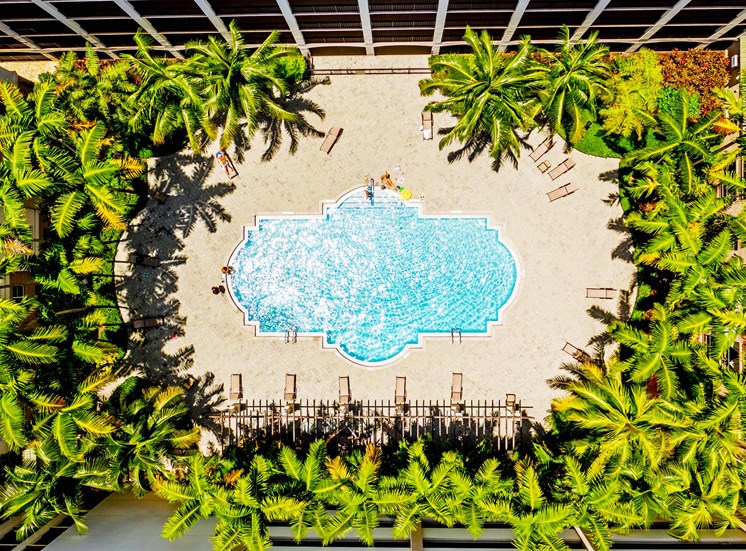 Vizcaya Lakes at Renaissance Commons Apartments has three separate resort-style swimming pools.